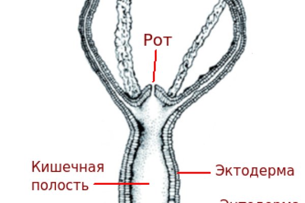 Зеркало kraken krakens16