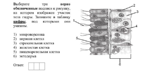 Kra18.cc