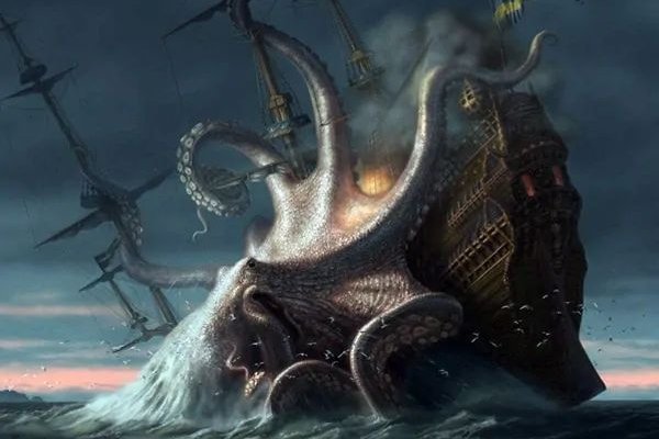 Kraken найдется все