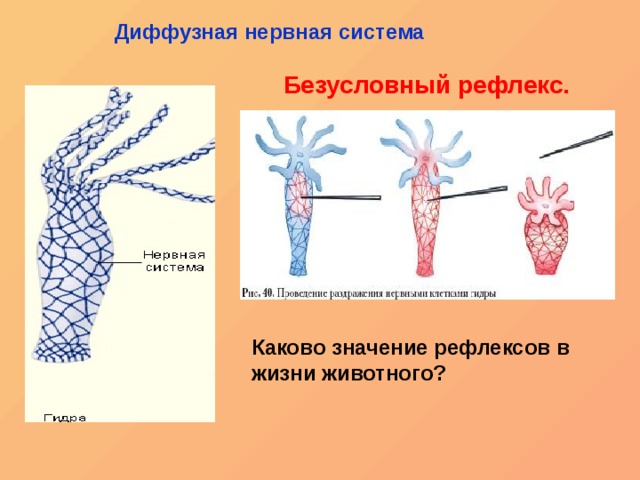 Гашиш меф шишки бошки купить в москве